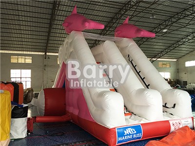 Commercial Dolphin Water Slides For Pools For Sale BY-WS-073